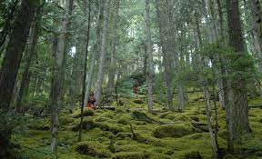 Second slide
