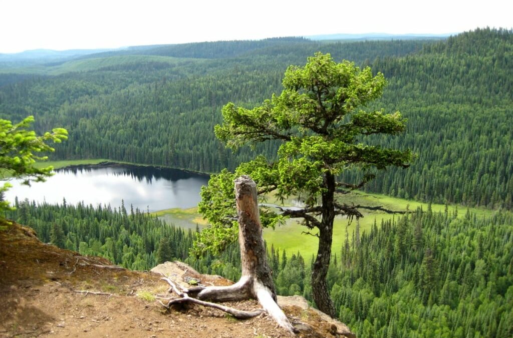 Connecting With Nature: Best Hiking Trails and Outdoor Escapes in Prince George City